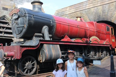 The Hogwart's Express