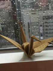 Claire's favorite paper crane