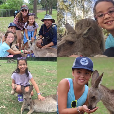 A3386E1A-9395-49C2-814D-A8B86A785257