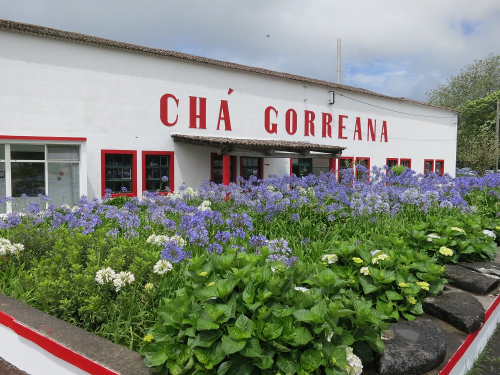 2019-06-21 08.02.00.jpg