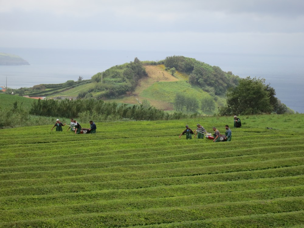 2019-06-21 08.31.02.jpg